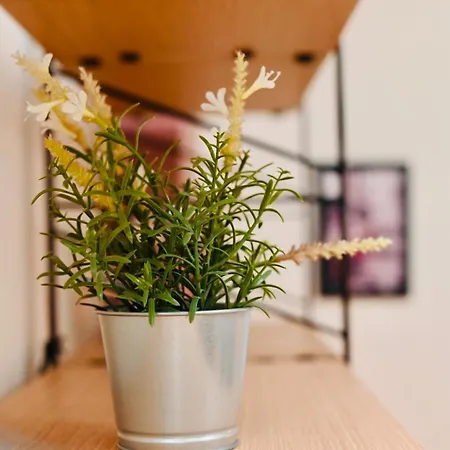 Lägenhet Kat-ikea Vintage 2 *